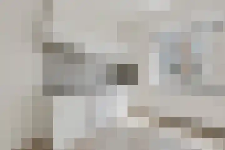 Verheijstraat 2 37 Didam thumbnail 6