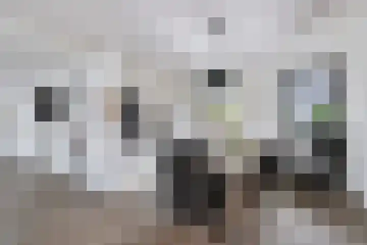 Verheijstraat 4 29 Didam thumbnail 29