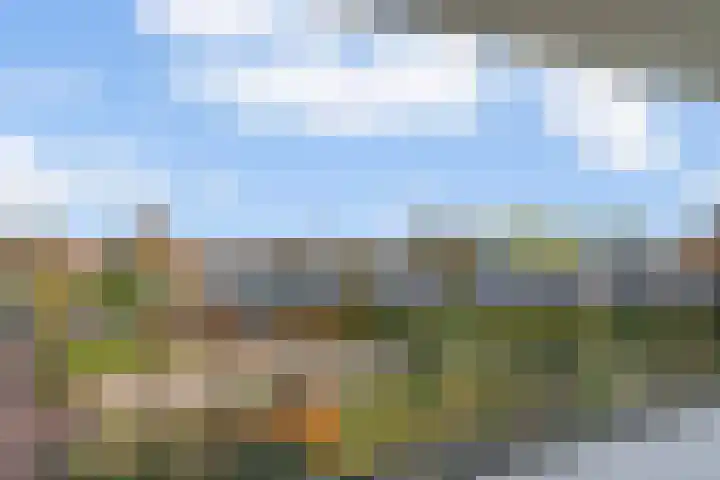 Verheijstraat 4 29 Didam thumbnail 8