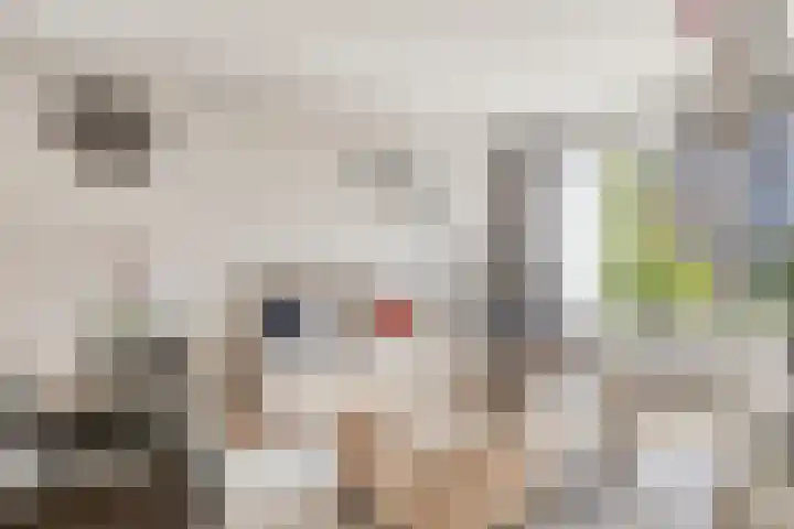 Verhulststraat 5 Elst thumbnail 10