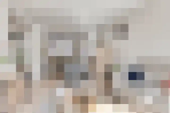 Verhulststraat 5 Elst thumbnail 11