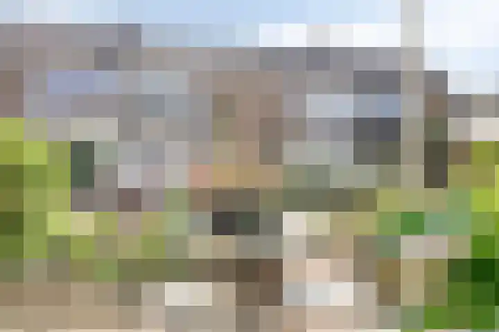 Verhulststraat 5 Elst thumbnail 12