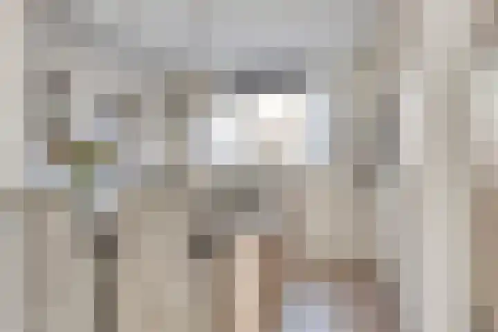Verhulststraat 5 Elst thumbnail 15