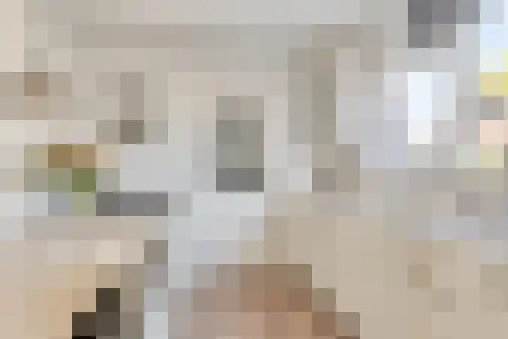 Verhulststraat 5 Elst thumbnail 18