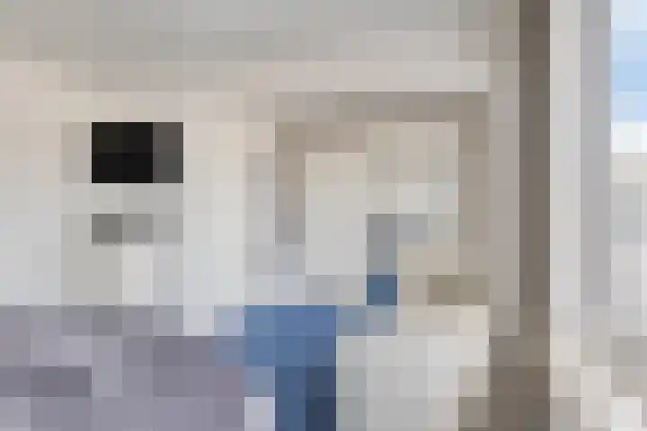 Verhulststraat 5 Elst thumbnail 24