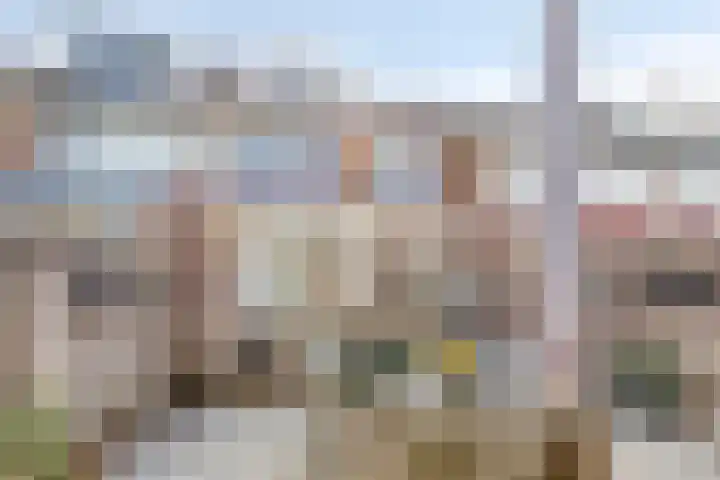 Verhulststraat 5 Elst thumbnail 41