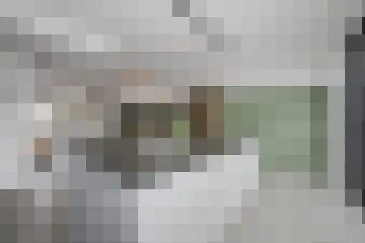 Verlaat 60 Leimuiden thumbnail 10