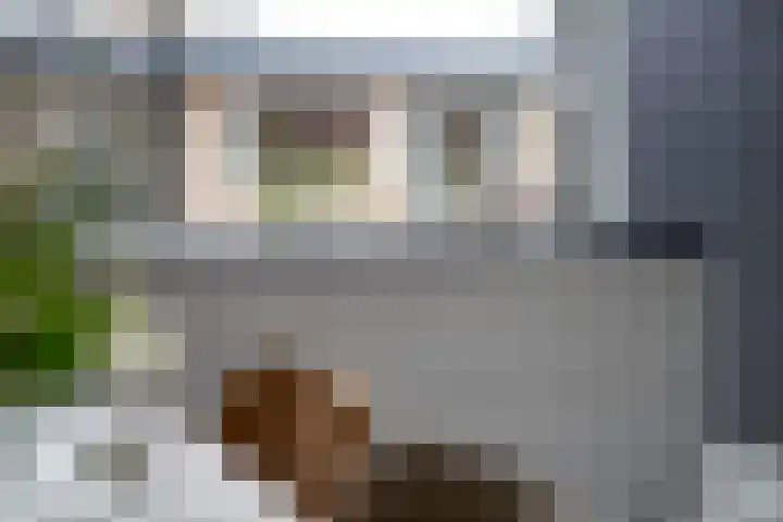 Verlaat 60 Leimuiden thumbnail 12