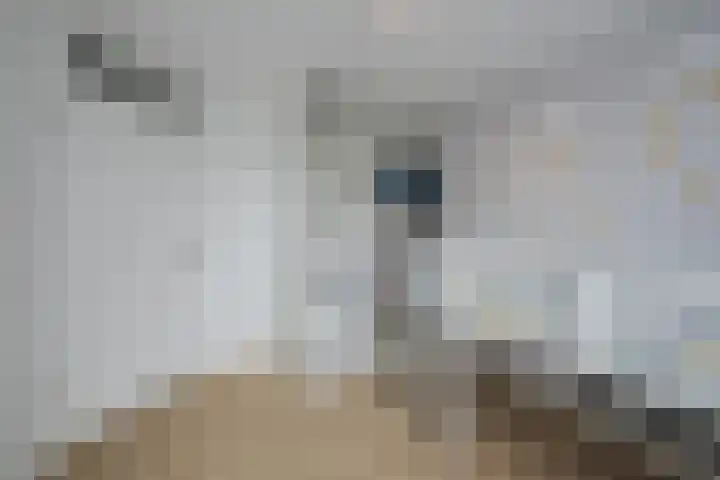Verlaat 60 Leimuiden thumbnail 22