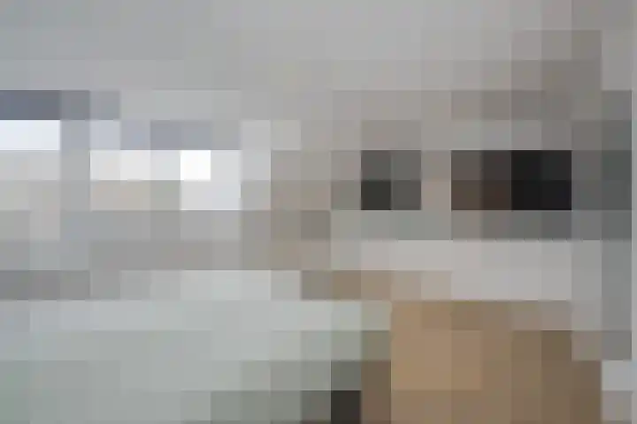 Verlaat 60 Leimuiden thumbnail 23