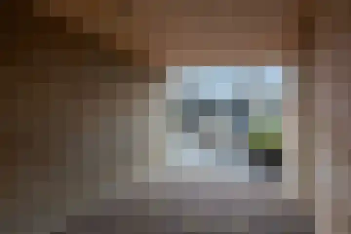 Verlaat 60 Leimuiden thumbnail 38