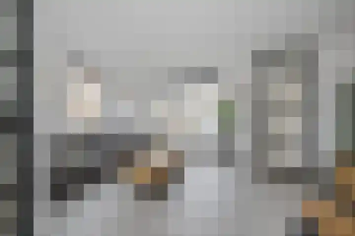 Verlaat 60 Leimuiden thumbnail 4