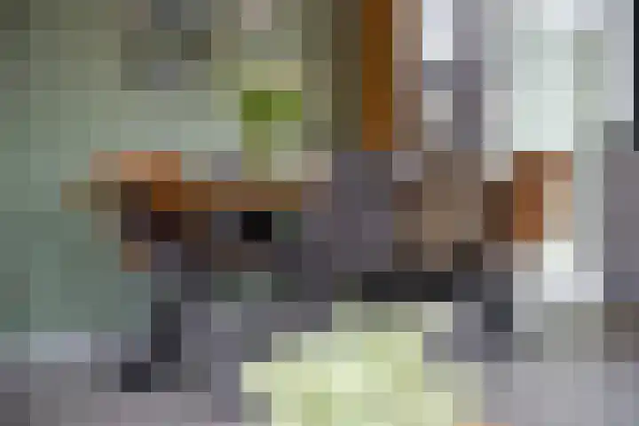 Verlaat 60 Leimuiden thumbnail 8