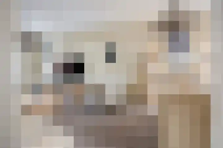 Verlaatstraat 2 Breda thumbnail 14