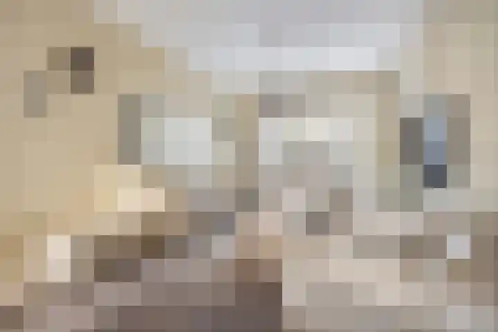 Verlaatstraat 2 Breda thumbnail 16