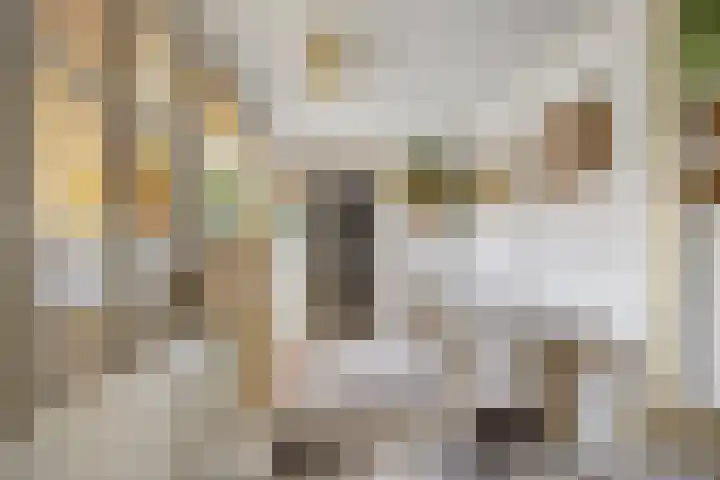 Verlaatstraat 2 Breda thumbnail 27