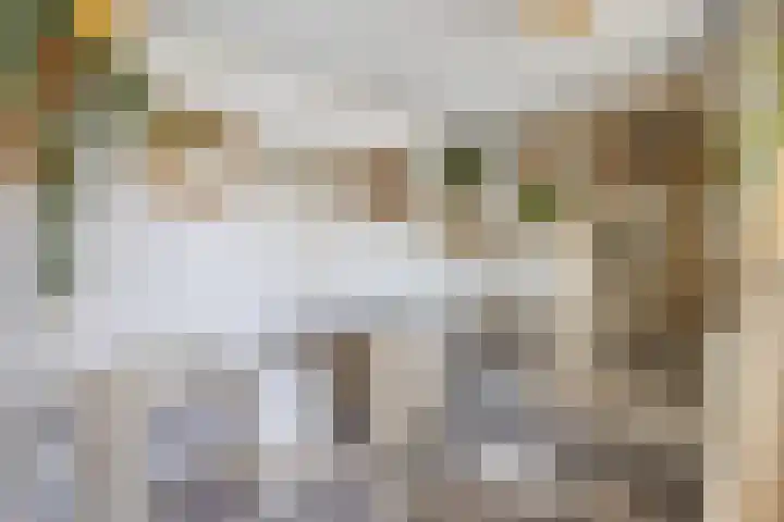 Verlaatstraat 2 Breda thumbnail 31
