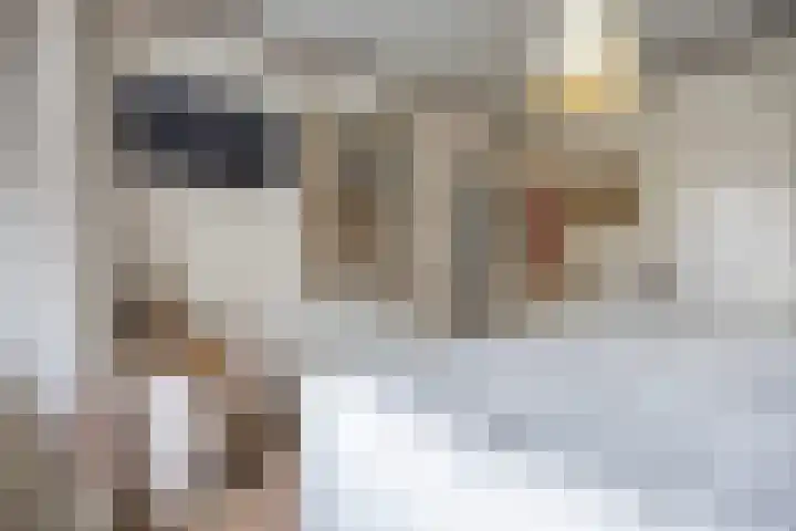 Verlaatstraat 2 Breda thumbnail 36