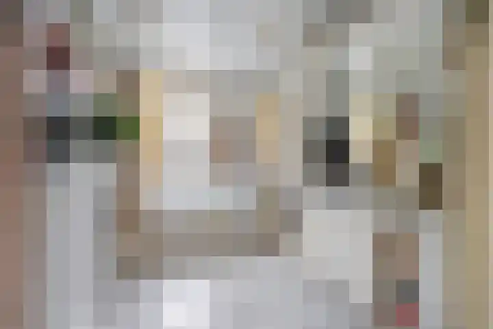 Verlaatstraat 2 Breda thumbnail 41