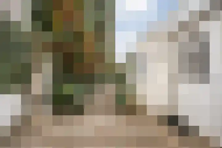 Verlaatstraat 2 Breda thumbnail 49