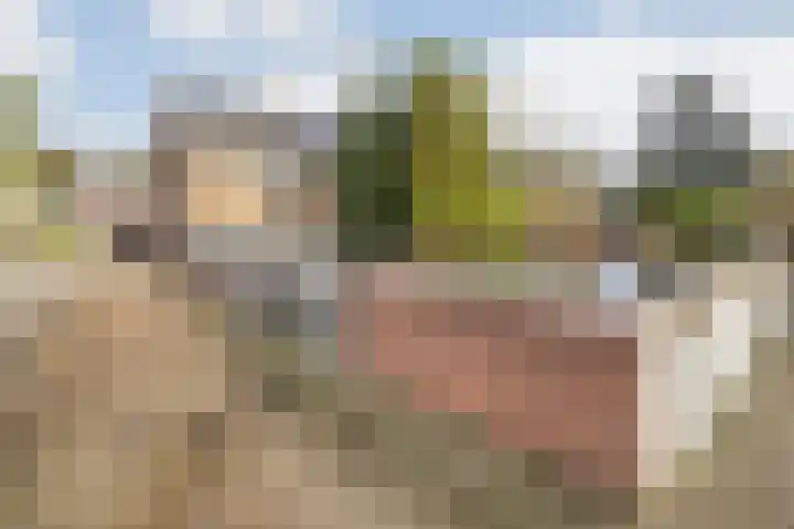 Verlaatstraat 2 Breda thumbnail 53