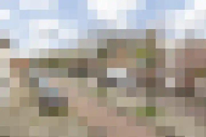 Verlaatstraat 2 Breda thumbnail 54