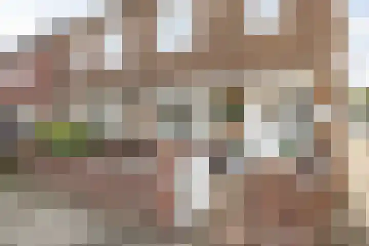Verlaatstraat 2 Breda thumbnail 9