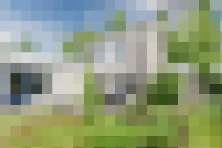 Verlengde Witmoeren 2 Breda