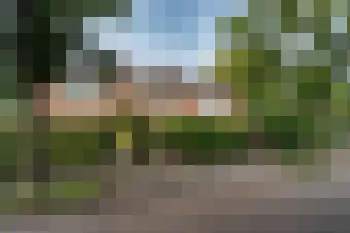 Vermeerlaan 3 dans Naarden