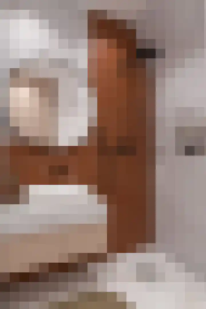 Team foto van Vermeulen Makelaars