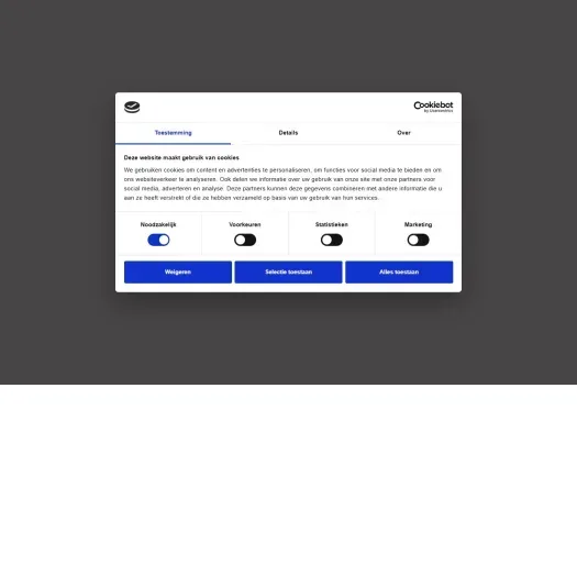 Screenshot der Website von www.verra.nl
