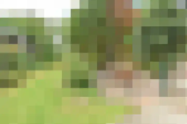 Verspronckweg 313 Haarlem thumbnail 32