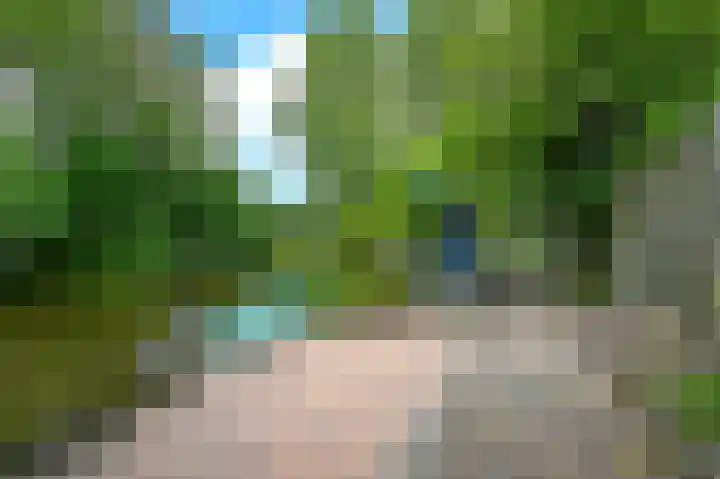 Verspronckweg 313 Haarlem thumbnail 37
