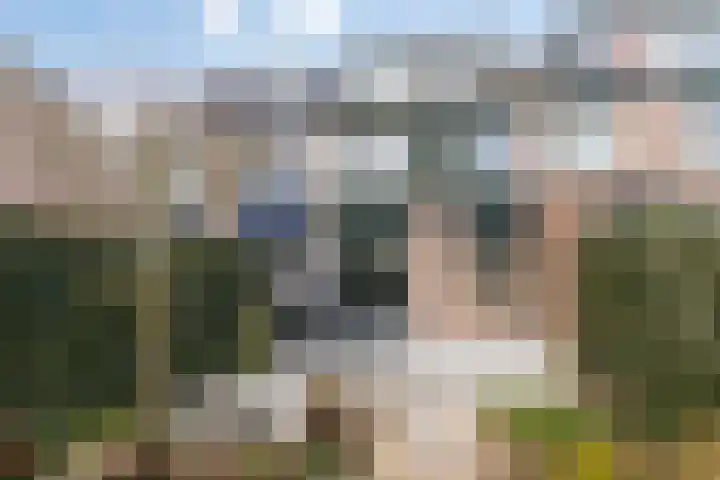 Versteeghlaan 42 Soesterberg thumbnail 27