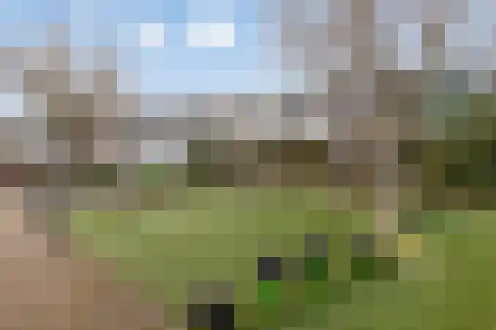 Versteeghlaan 42 Soesterberg thumbnail 35