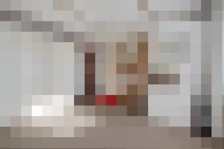 Ververstraat 1 Borne thumbnail 17