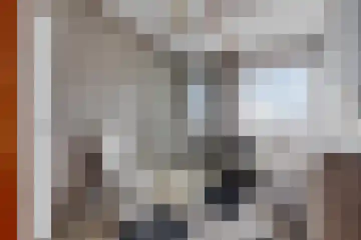 Ververstraat 1 Borne thumbnail 18