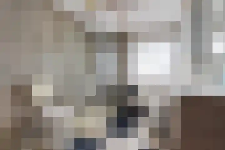 Ververstraat 1 Borne thumbnail 28