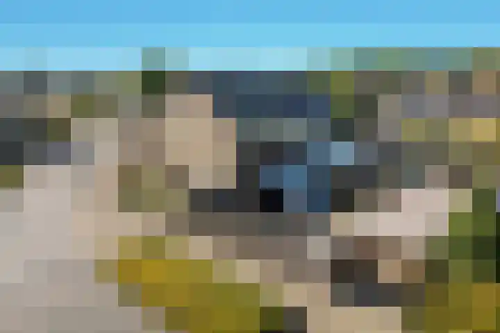 Ververstraat 1 Borne thumbnail 36