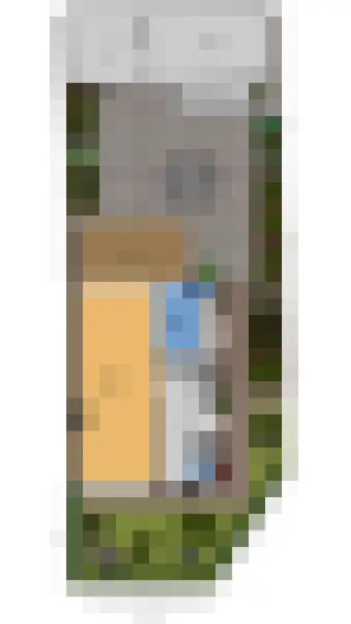 Ververstraat 1 Borne thumbnail 47
