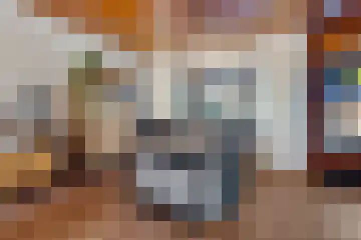 Ververstraat 1 Borne thumbnail 9
