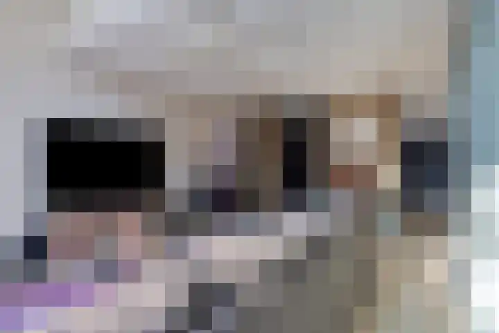 Ververstraat 32 Borne thumbnail 11