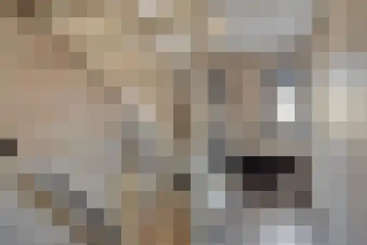 Ververstraat 32 Borne thumbnail 15