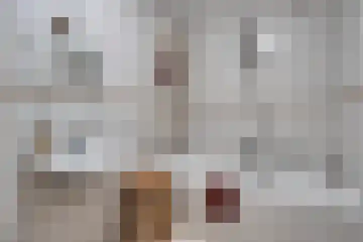 Verwerstraat 63 Eindhoven thumbnail 18