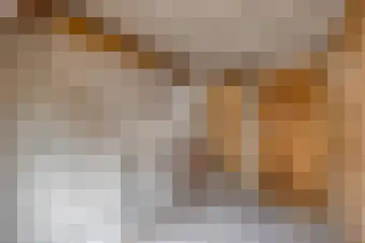 Verwerstraat 63 Eindhoven thumbnail 37