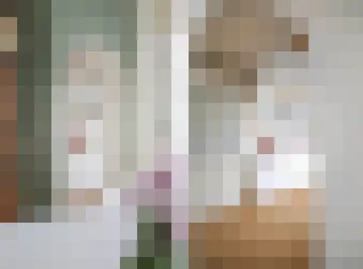 Verwoldelaan 38 Arnhem thumbnail 13