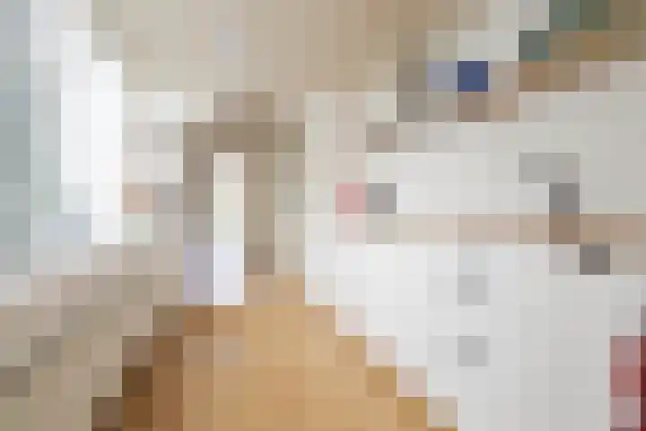 Verwoldelaan 38 Arnhem thumbnail 16