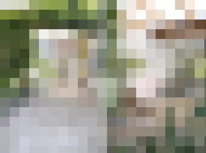 Verwoldelaan 38 Arnhem thumbnail 20