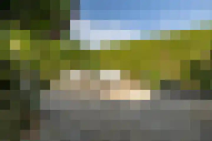 Verwoldelaan 38 Arnhem thumbnail 33