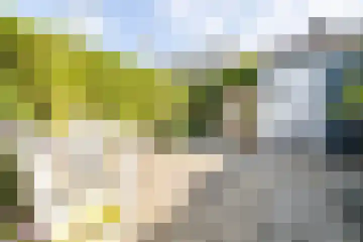 Verwoldelaan 38 Arnhem thumbnail 34